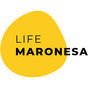 Life Maronesa
